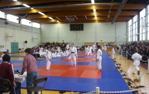P1020595.JPG