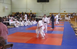 P1020596.JPG